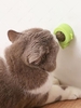 Teeth Cleaning Catnip Rotating Ball