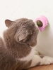 Teeth Cleaning Catnip Rotating Ball