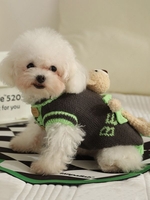 Terry Bear Decor Letter Printed Pet Knitted Sweater