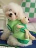 Terry Bear Decor Letter Printed Pet Knitted Sweater