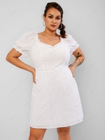 ZAFUL Plus Size Ruffled Broderie Anglaise Puff Sleeve Dress