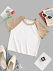 ZAFUL Raglan Sleeve Colorblock Ribbed T Shirt L White