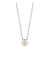 925 Sterling Zilveren Ketting 3845