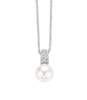 925 Sterling Zilveren Ketting 3877