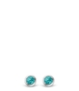 925 Sterling Zilveren Oorbellen 7597