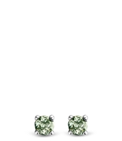 925 Sterling Zilveren Oorbellen 7768