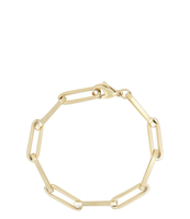 Armband met schakels