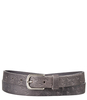 Belt 259141