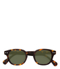 C Sunglasses