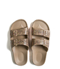Celeste Slides