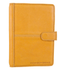 Diary Leo