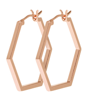 Essentiele Hexagonal Hoop Earrings