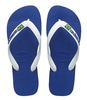 Flipflops Brasil Logo