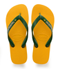 Flipflops Brasil Logo