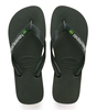 Flipflops Brasil Logo
