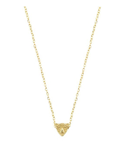 Ketting Luipaard