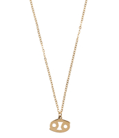 Ketting Sterrenbeeld Bedel Kreeft