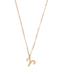 Ketting Sterrenbeeld Bedel Ram