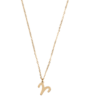 Ketting Sterrenbeeld Bedel Ram