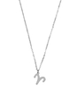 Ketting Sterrenbeeld Bedel ram