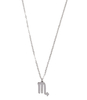 Ketting Sterrenbeeld Bedel Schorpioen