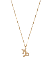 Ketting Sterrenbeeld Bedel Steenbok