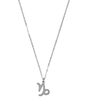 Ketting Sterrenbeeld Bedel Steenbok