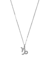 Ketting Sterrenbeeld Bedel Steenbok