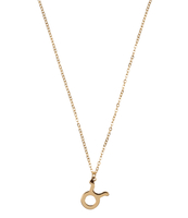 Ketting Sterrenbeeld Bedel Stier