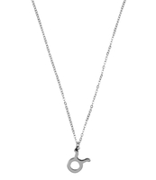 Ketting Sterrenbeeld Bedel Stier