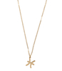 Ketting Sterrenbeeld Bedel Vissen