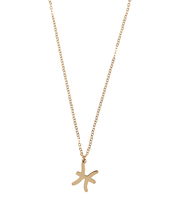 Ketting Sterrenbeeld Bedel Vissen