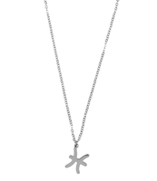 Ketting Sterrenbeeld Bedel Vissen