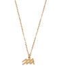 Ketting Sterrenbeeld Bedel Waterman