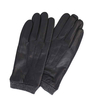 Louis Glove