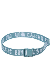 Luggage Belt