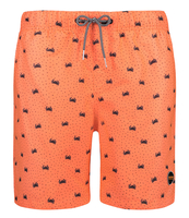 Men Swim Short Crabby