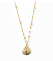 Metal Shell Satellite Chain Necklace