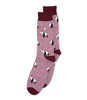 Panda Socks
