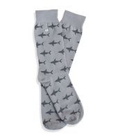 Shark Attack