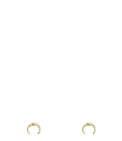 Studs buffalo