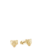 Studs luipaard