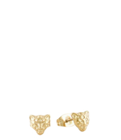Studs luipaard