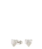 Studs luipaard
