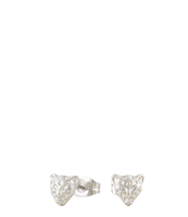 Studs luipaard