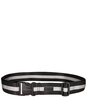 Suitcase Belt Hemlock