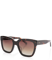 Sunglasses Holly