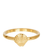 Symbol sea shell 2 mm