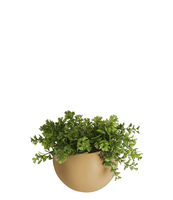 Wall plant pot Globe ceramic
