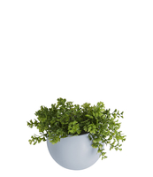 Wall plant pot Globe ceramic